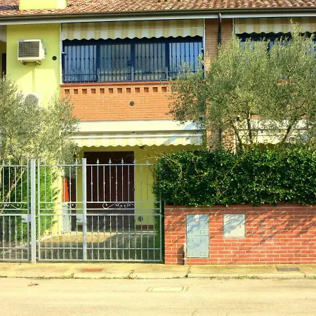 Fiori D9 *